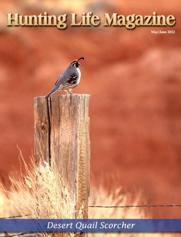 2022 May-June Issue